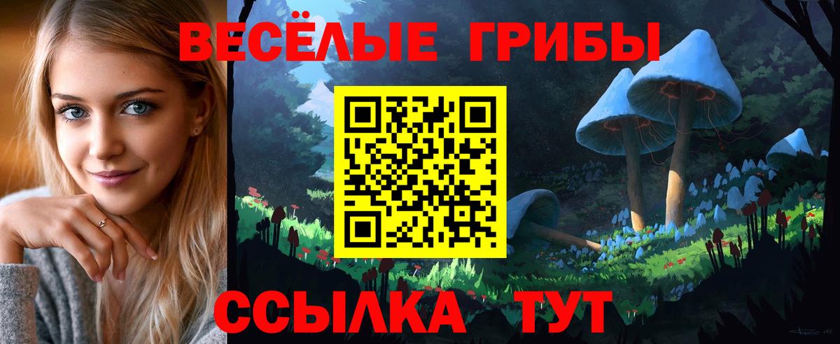 Галлюциногенные грибы мицелий  Вход с VPN  Петрозаводск 