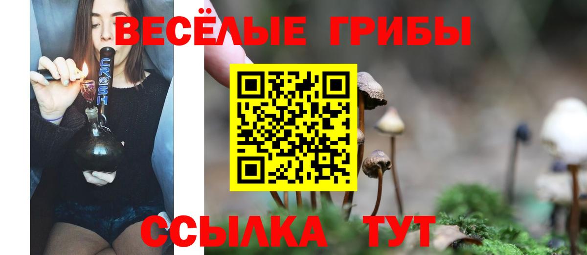 Псилоцибиновые грибы мицелий Петрозаводск